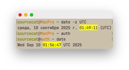Часы спешат на сервере.webp