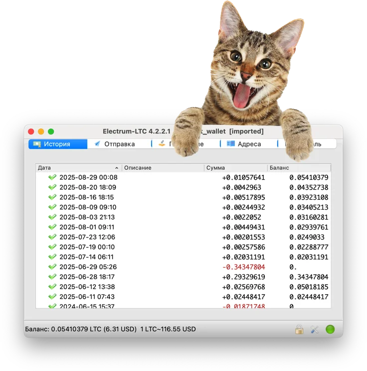 кот.webp