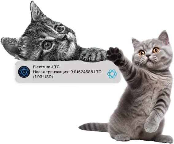 нескучный способ уникализации картинок.webp