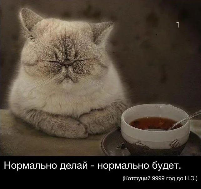 Нормально делай нормально будет Котфуций.webp