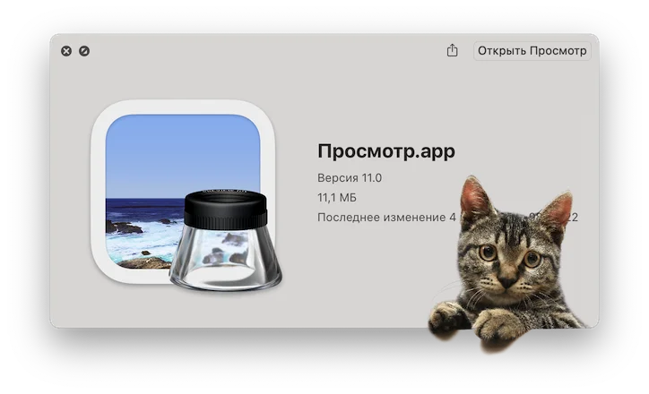 Просмотрщик даже умеет удалять фон.webp