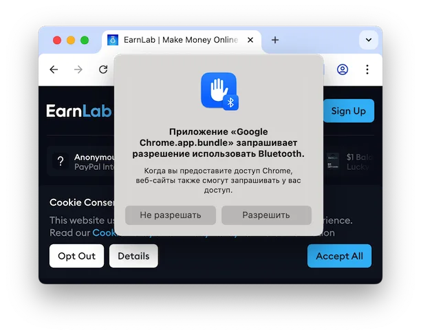 сайт просит разрешение bluetooth.webp